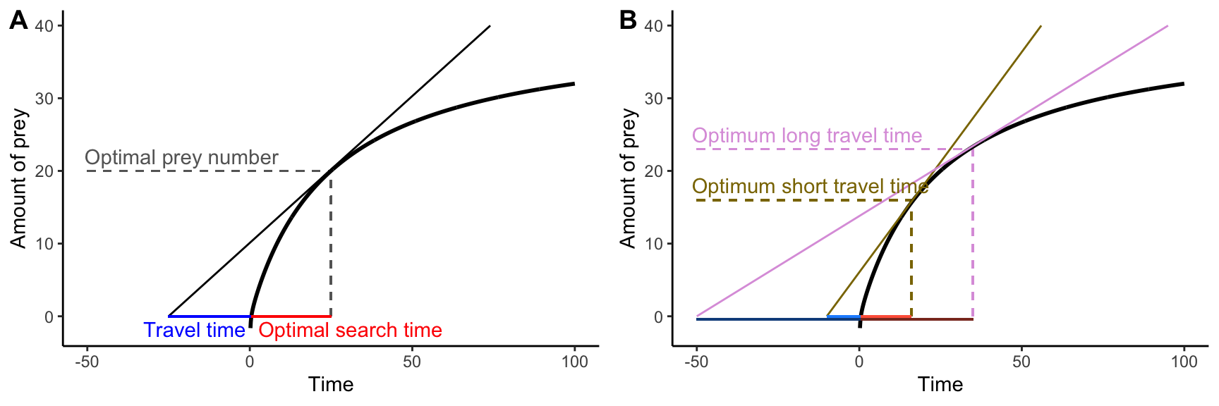 The marginal value theorem applied to optimal foraging. A. For any travel time (plotted in blue along the negative portion of the x-axis), the maximum rate of energy acquisition can be determined as the slope of the tangent line of the prey acquisition curve that goes through the point defining the travel time on the x-axis. Accordingly, the optimal search time and the optimal prey number are given by the x and y coordinates of the tangent point. B. Varyint the travel time from shory (brown) to long (pink) changes the optimal food searching time from short to long.